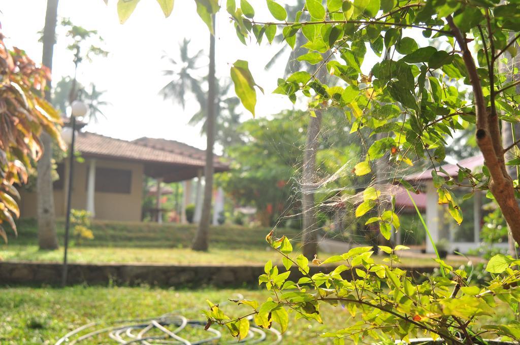 Soba Lanka Holiday Resort Melsiripura Buitenkant foto