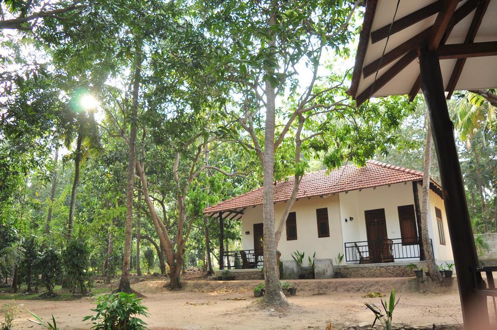 Soba Lanka Holiday Resort Melsiripura Buitenkant foto