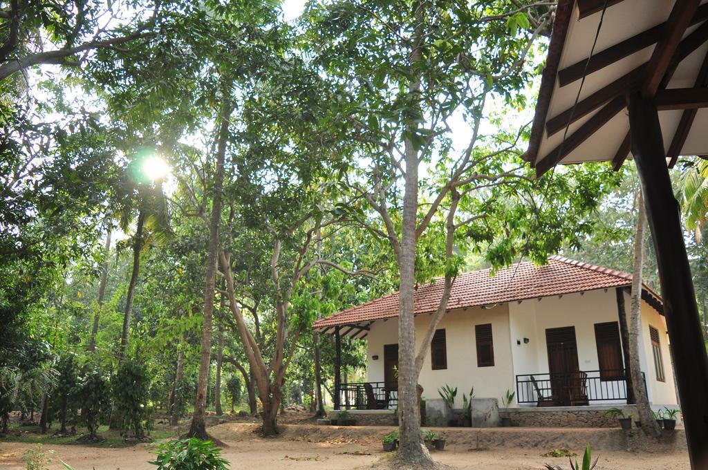 Soba Lanka Holiday Resort Melsiripura Buitenkant foto