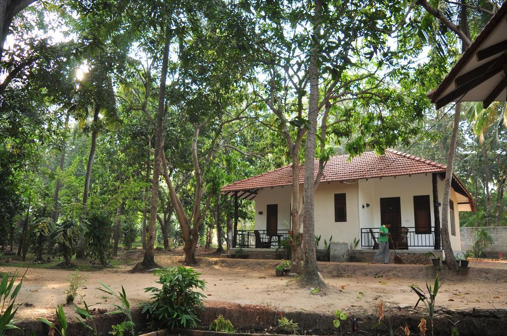 Soba Lanka Holiday Resort Melsiripura Buitenkant foto