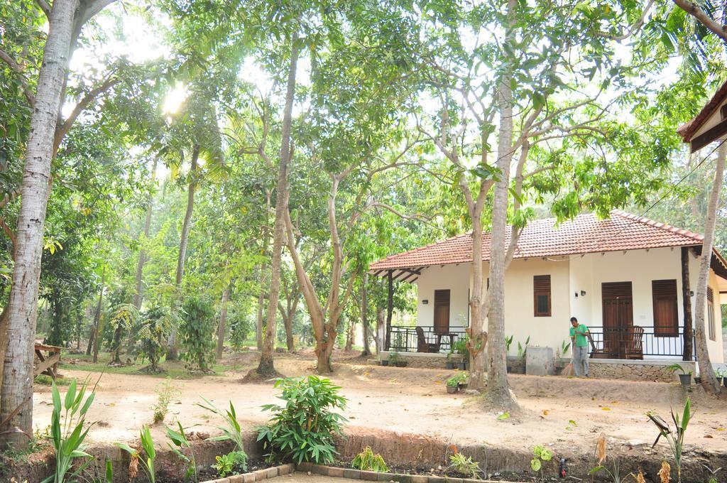 Soba Lanka Holiday Resort Melsiripura Buitenkant foto