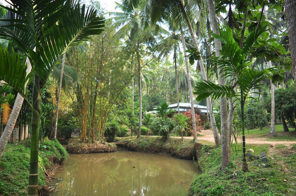 Soba Lanka Holiday Resort Melsiripura Buitenkant foto