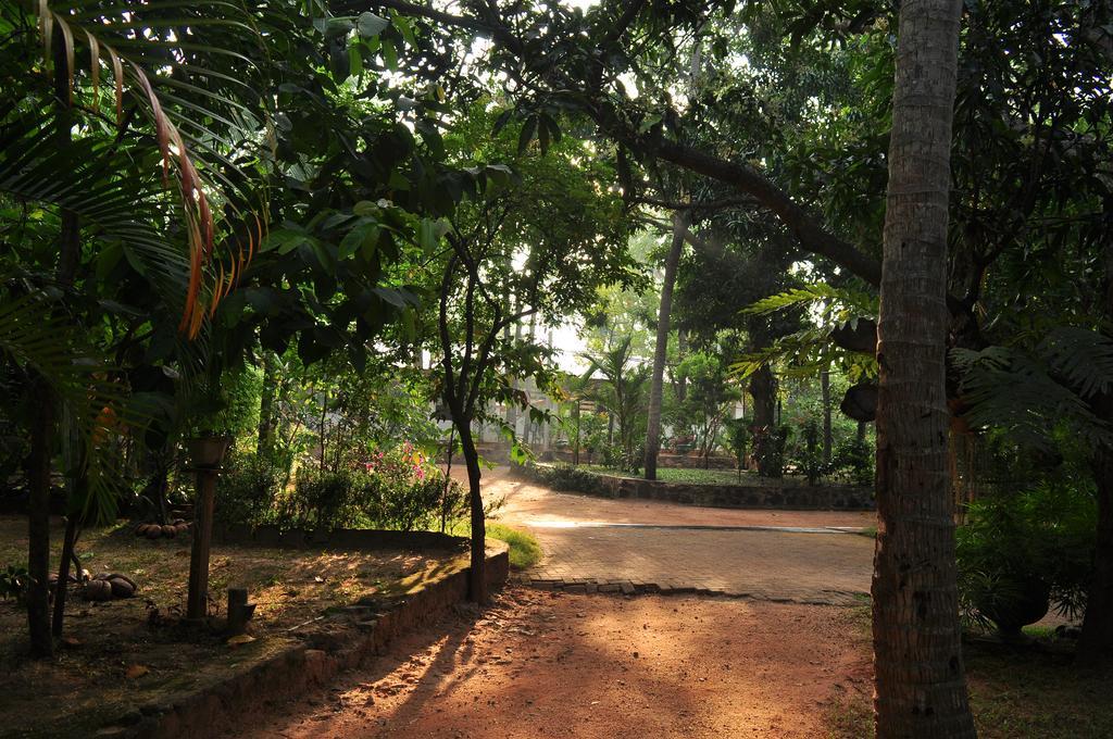 Soba Lanka Holiday Resort Melsiripura Buitenkant foto