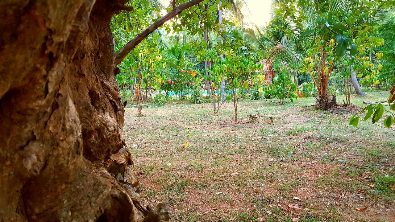 Soba Lanka Holiday Resort Melsiripura Buitenkant foto