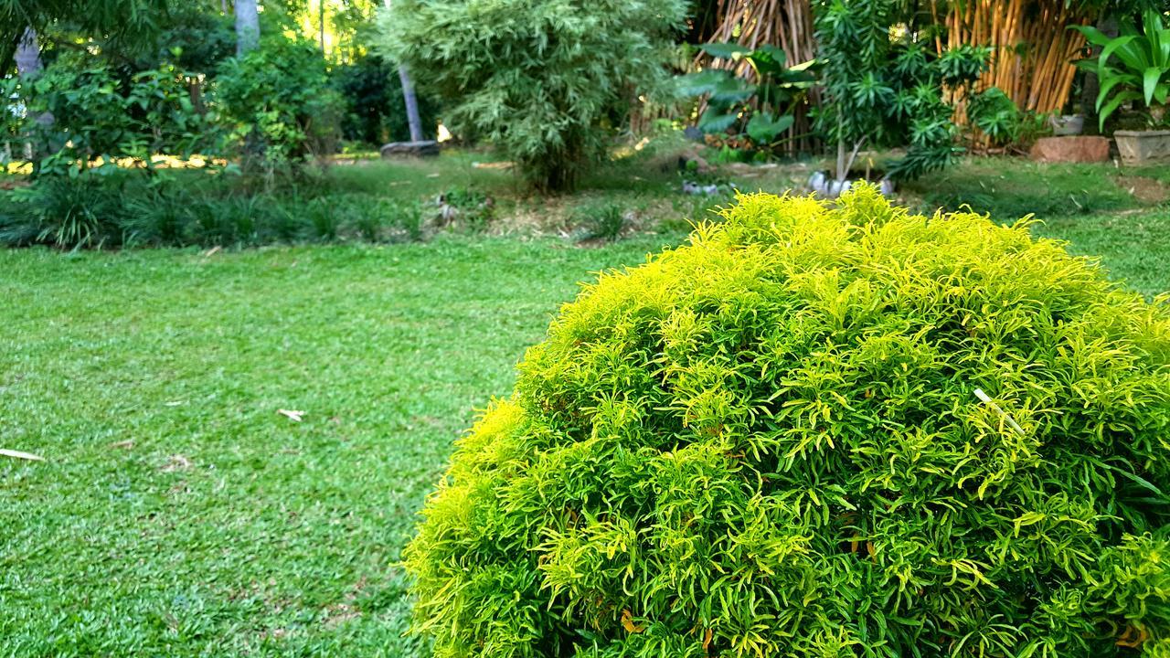 Soba Lanka Holiday Resort Melsiripura Buitenkant foto