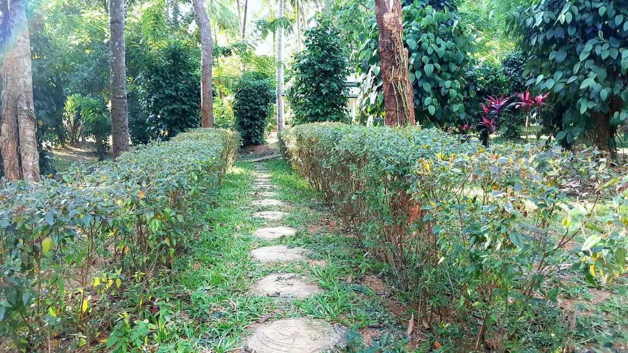 Soba Lanka Holiday Resort Melsiripura Buitenkant foto