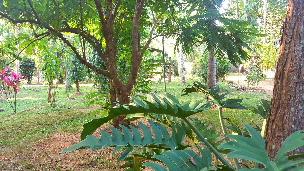 Soba Lanka Holiday Resort Melsiripura Buitenkant foto