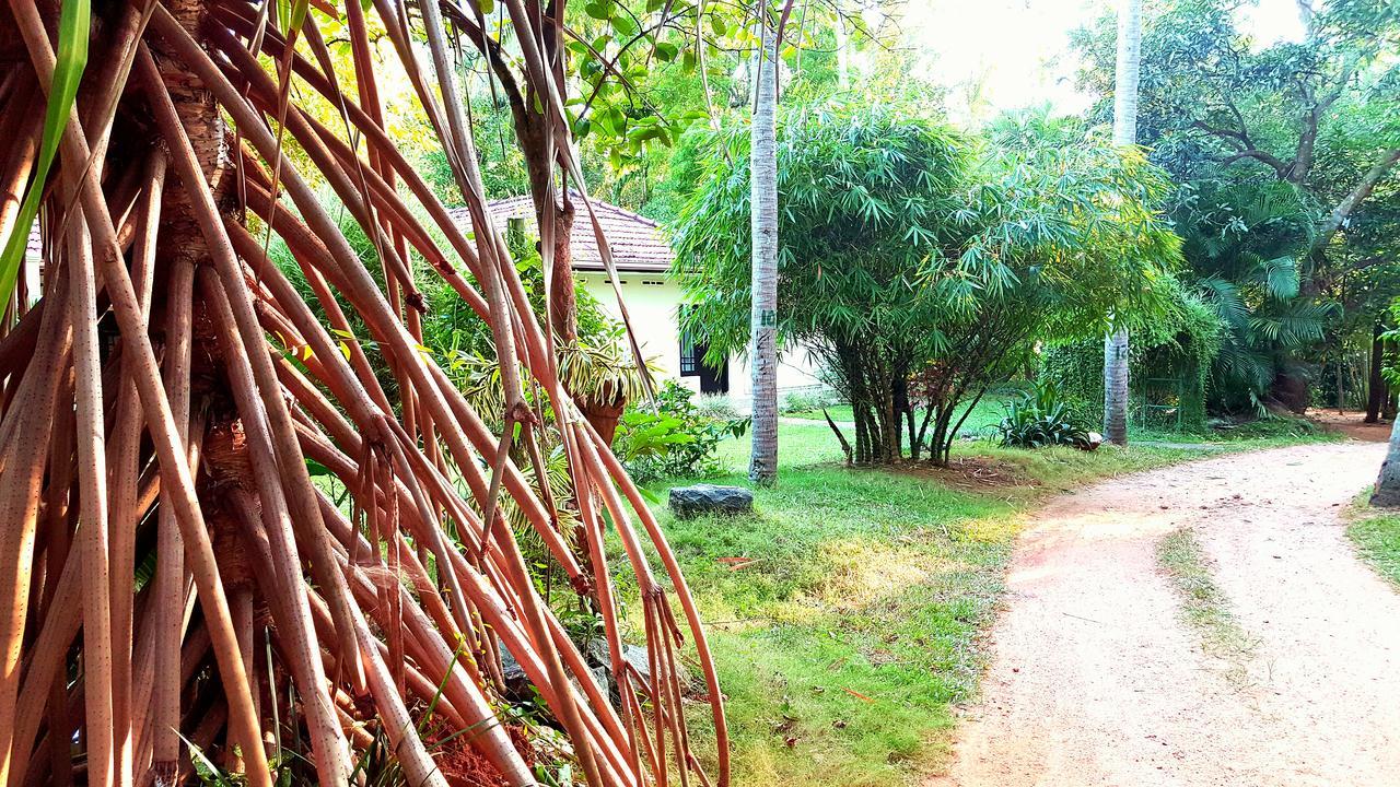 Soba Lanka Holiday Resort Melsiripura Buitenkant foto
