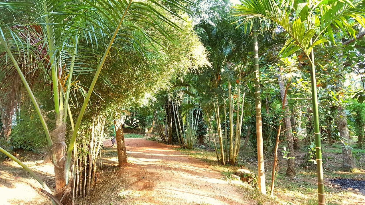 Soba Lanka Holiday Resort Melsiripura Buitenkant foto
