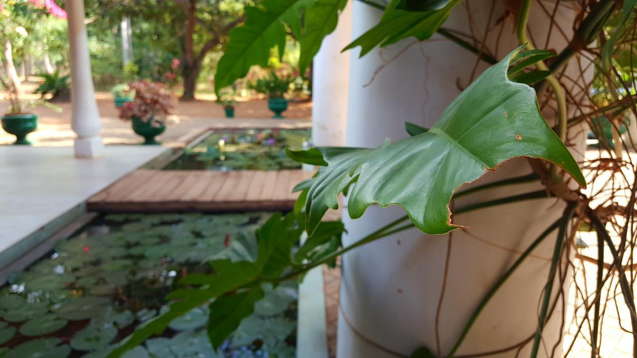 Soba Lanka Holiday Resort Melsiripura Buitenkant foto