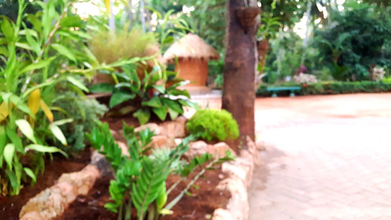Soba Lanka Holiday Resort Melsiripura Buitenkant foto