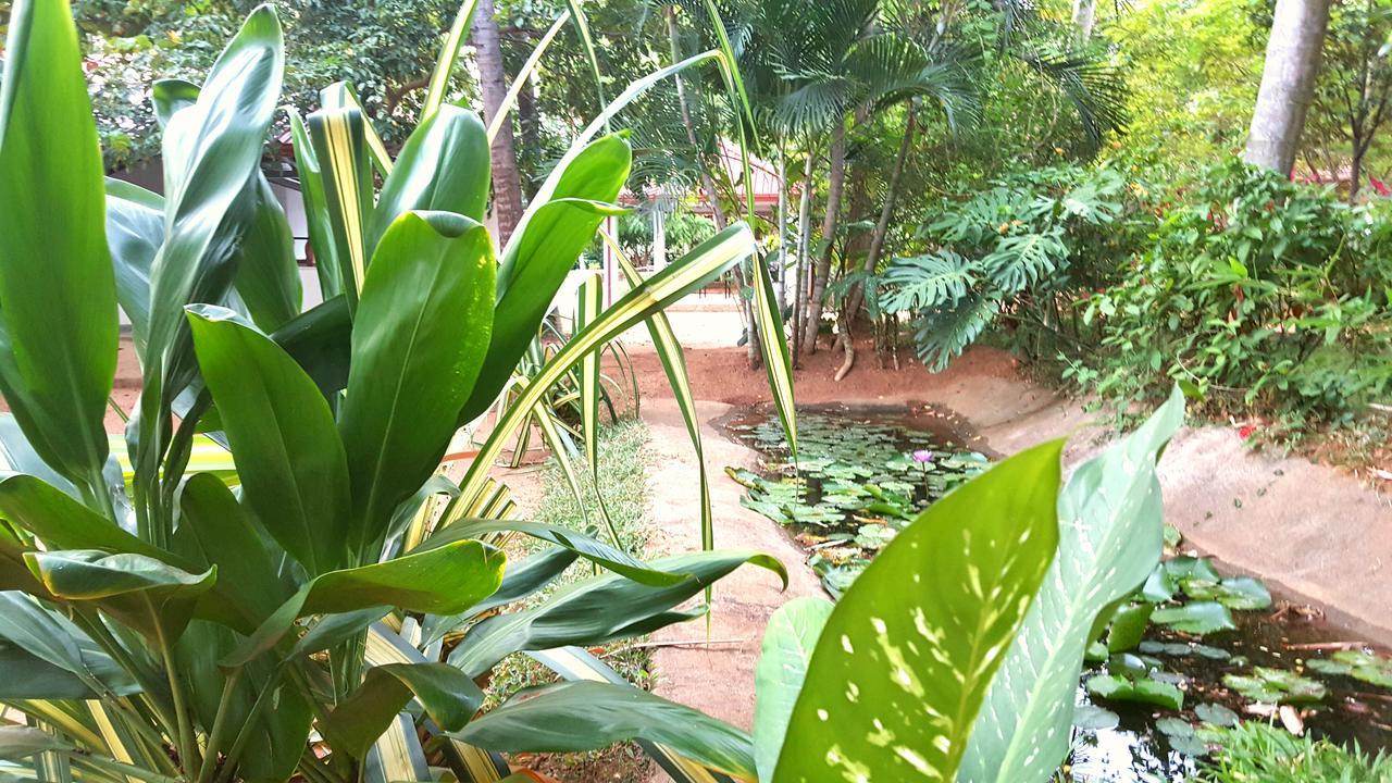Soba Lanka Holiday Resort Melsiripura Buitenkant foto