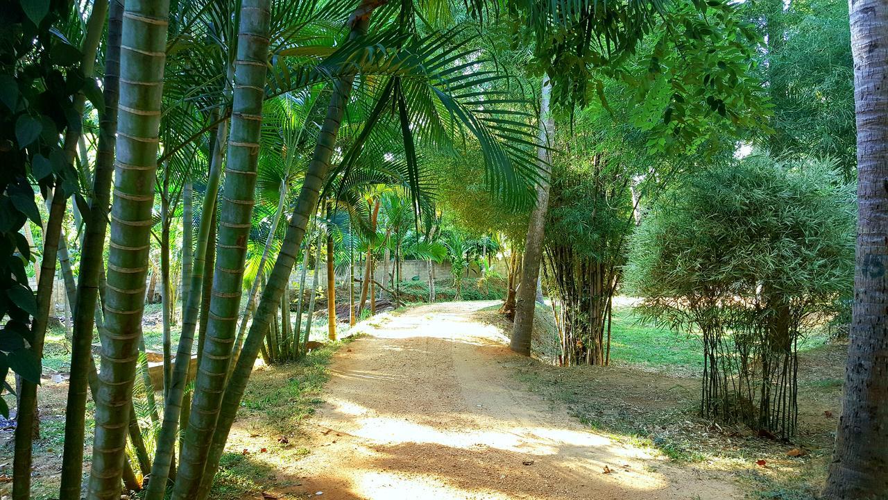 Soba Lanka Holiday Resort Melsiripura Buitenkant foto