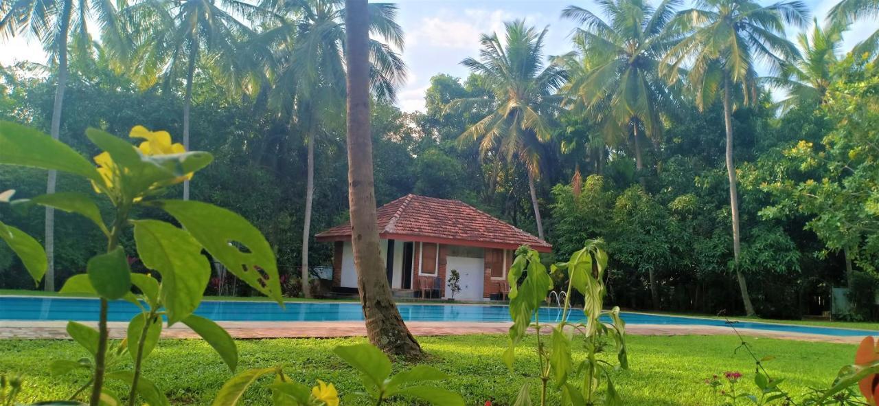 Soba Lanka Holiday Resort Melsiripura Buitenkant foto
